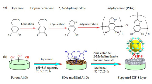 通过聚多巴胺反应平台制备高分离性能的zif-8膜示意图