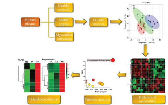 利用代谢组学,脂质组学研究不同阶段冠心病病人血浆