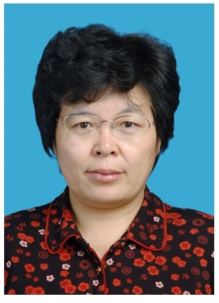 weihong bi the characterization and device research