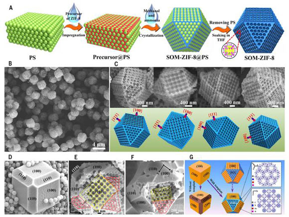 som-zif-8的原位合成
